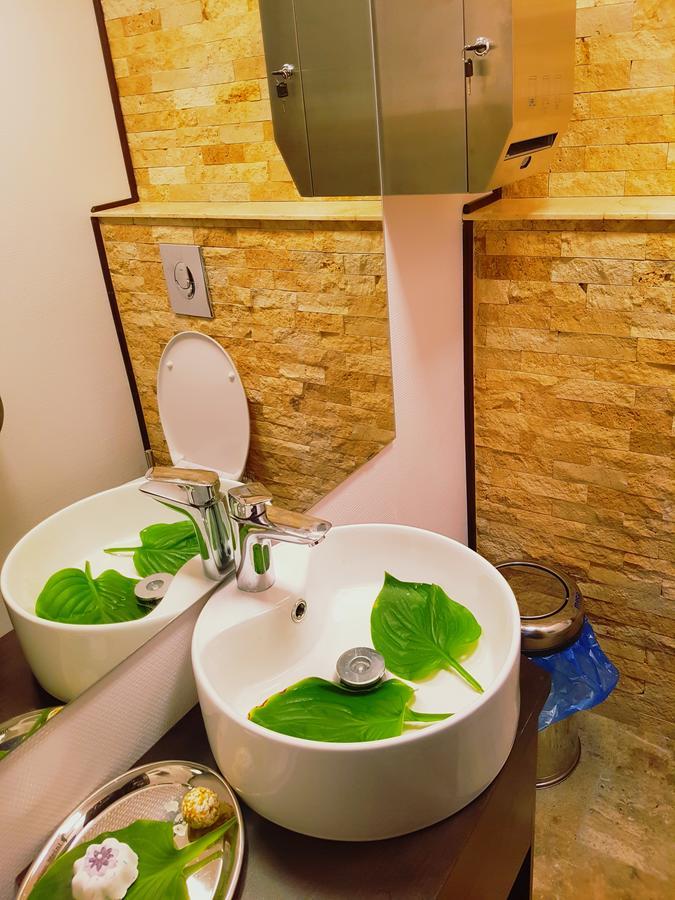 Pensiunea Câmpia Soarelui Apa Neagră Extérieur photo