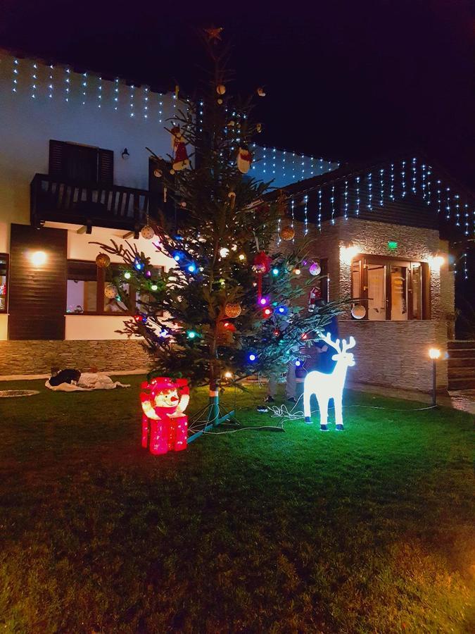 Pensiunea Câmpia Soarelui Apa Neagră Extérieur photo